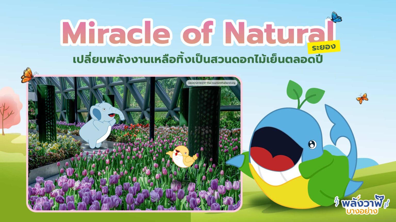 miracle of natural
